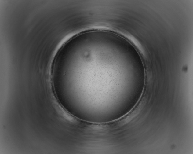 X0000102341240200808081123