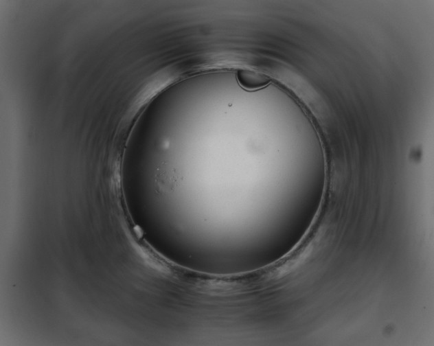 X0000102341241200808081123