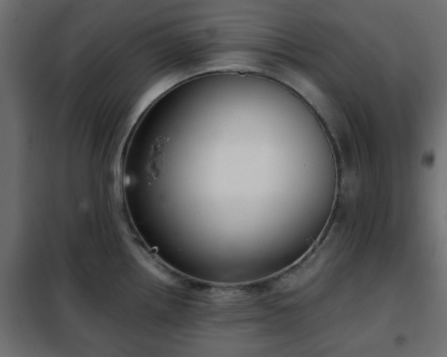 X0000102341242200808081123