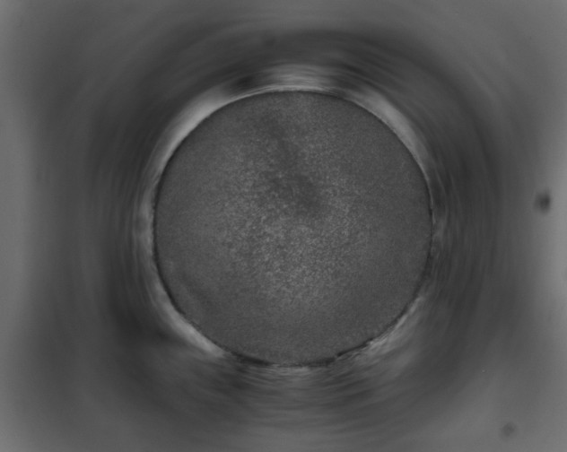 X0000102341243200808081123