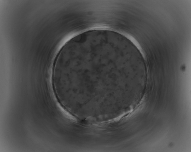 X0000102341245200808081123