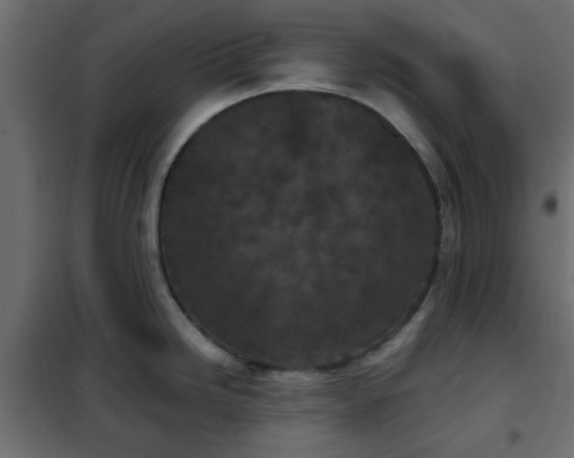 X0000102341246200808081123