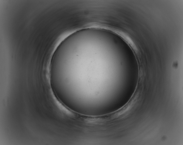 X0000102341247200808081123