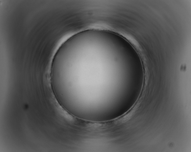 X0000102341248200808081123