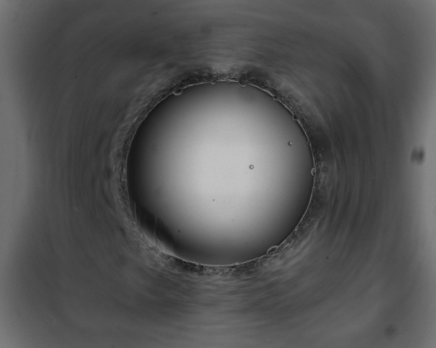 X0000102341249200808081122