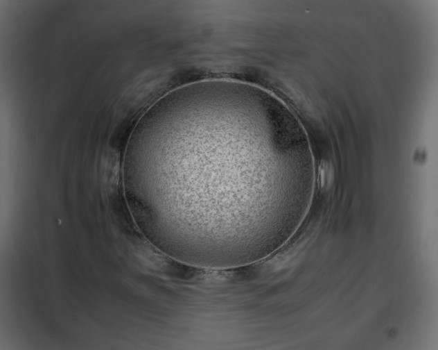 X0000102341251200808081122