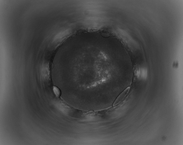 X0000102341252200808081122