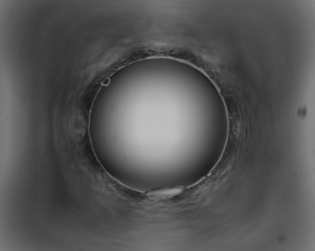 X0000102341253200808081122