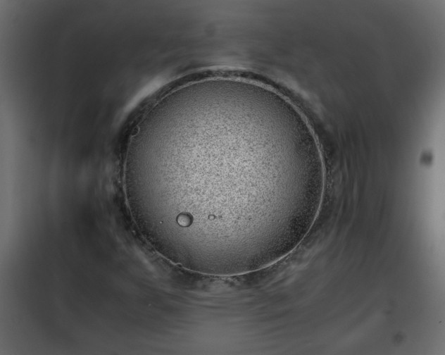 X0000102341255200808081122