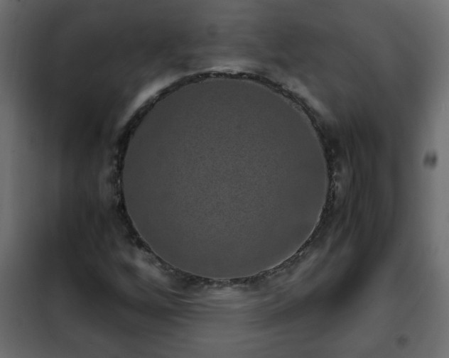 X0000102341256200808081122