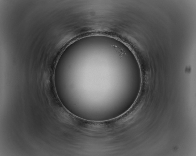 X0000102341257200808081122