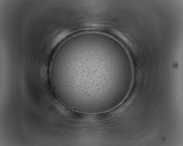 X0000102341259200808081122