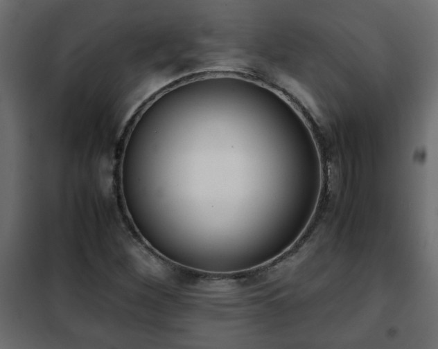 X0000102341260200808081122