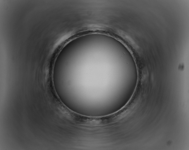 X0000102341261200808081122