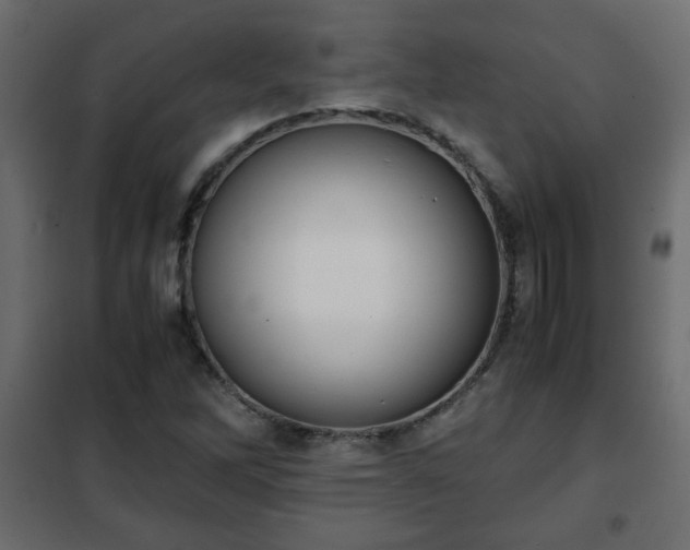 X0000102341262200808081122