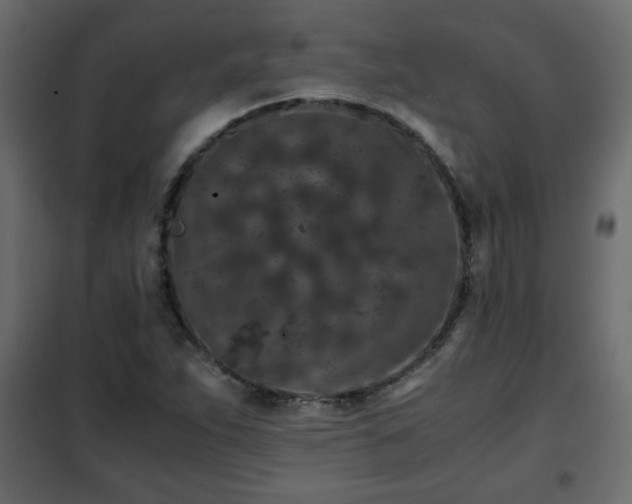 X0000102341263200808081122