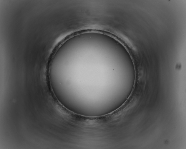 X0000102341264200808081122