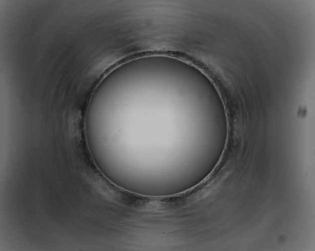 X0000102341265200808081122