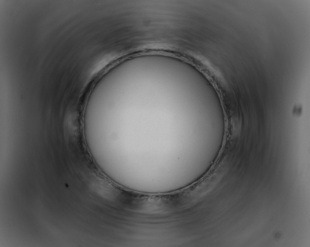 X0000102341266200808081122