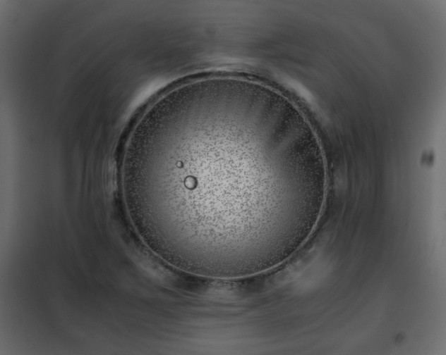 X0000102341267200808081122