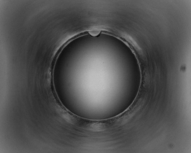 X0000102341268200808081122