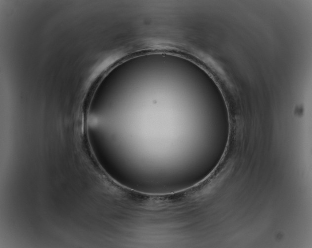 X0000102341269200808081122