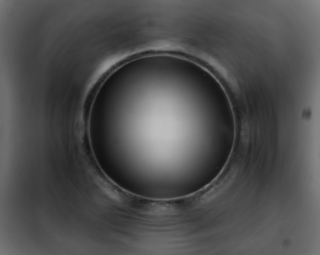 X0000102341270200808081122