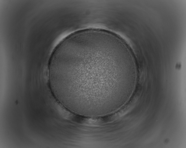 X0000102341271200808081122