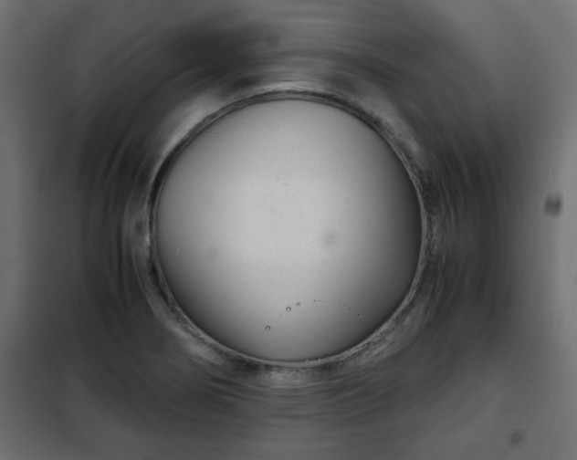 X0000102341274200808081122