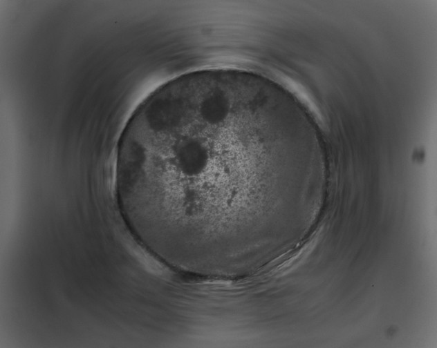 X0000102341275200808081122