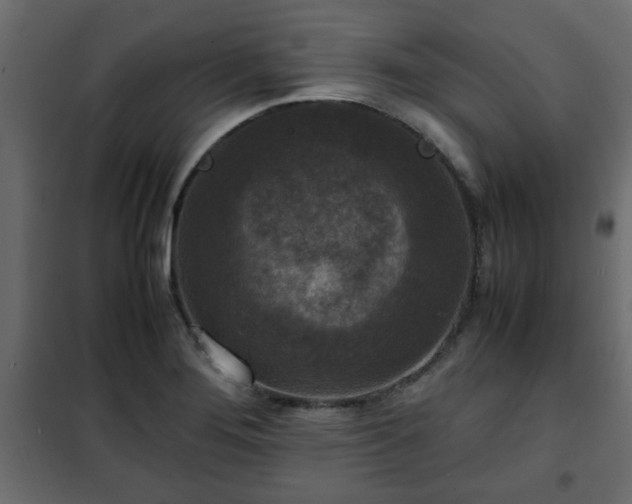 X0000102341276200808081122