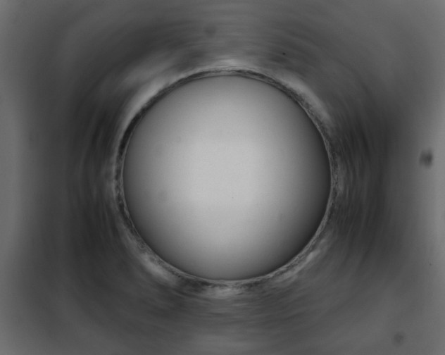 X0000102341278200808081122