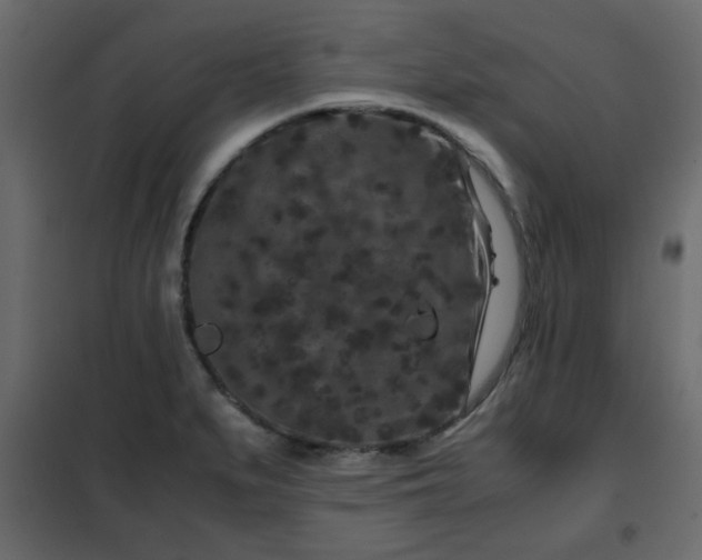 X0000102341279200808081122