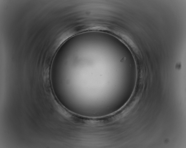 X0000102341281200808081122