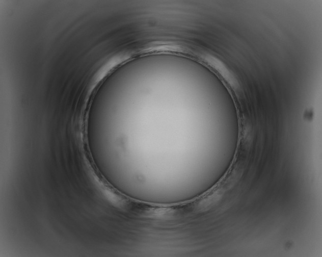 X0000102341282200808081122