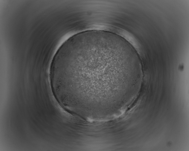 X0000102341283200808081122