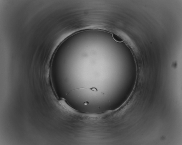 X0000102341284200808081122