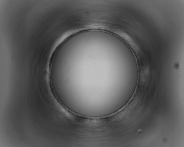 X0000102341286200808081122