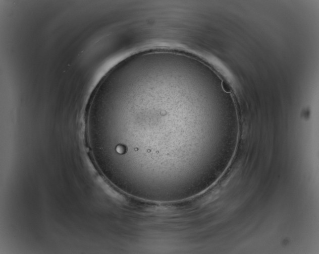 X0000102341287200808081122