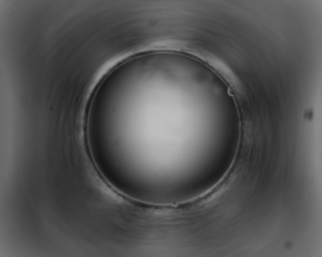 X0000102341288200808081122