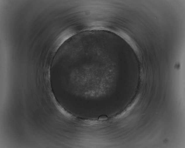 X0000102341289200808081122