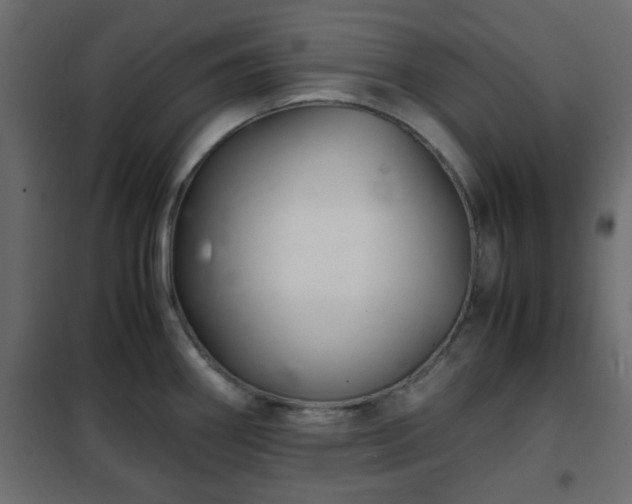 X0000102341290200808081122