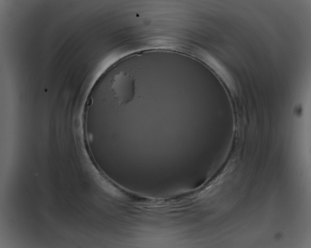 X0000102341291200808081122