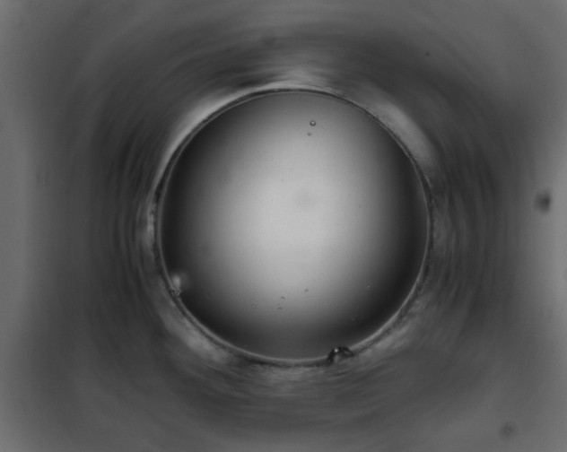 X0000102341292200808081122