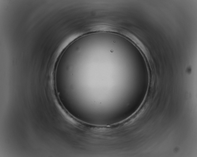 X0000102341293200808081122