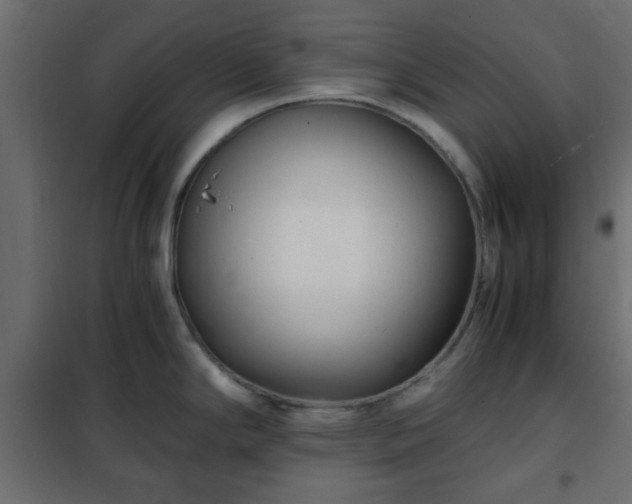 X0000102341294200808081122