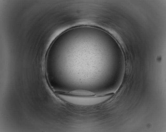 X0000102341295200808081122