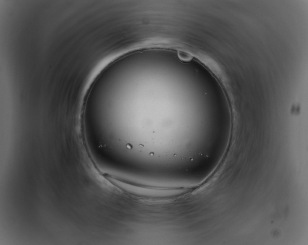 X0000102341296200808081122