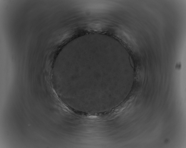 X0000102341297200808081121