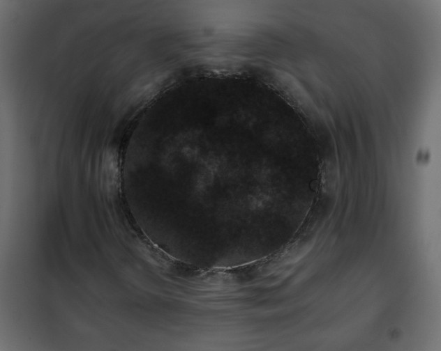 X0000102341298200808081121